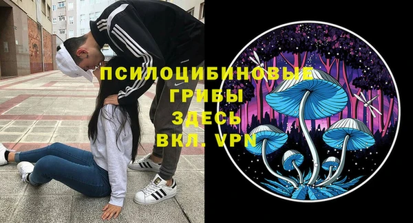 эйфоретик Алексеевка
