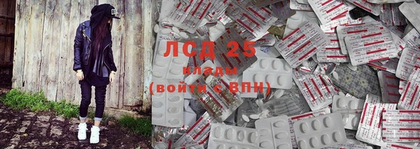 хмурый Алзамай