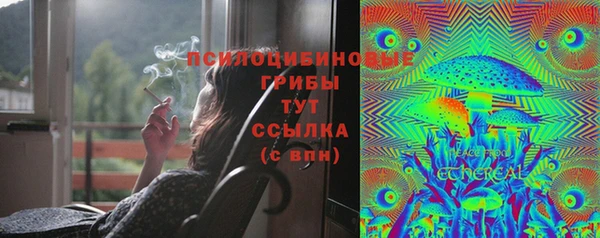 хмурый Алзамай