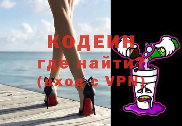 хмурый Алзамай