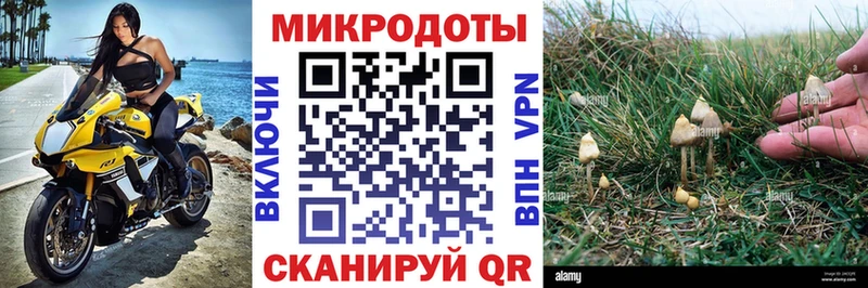 Псилоцибиновые грибы Magic Shrooms  Хвалынск 